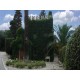 Properties for Sale_Luxury and historical villa for sale in Le Marche - Villa Marina in Le Marche_3